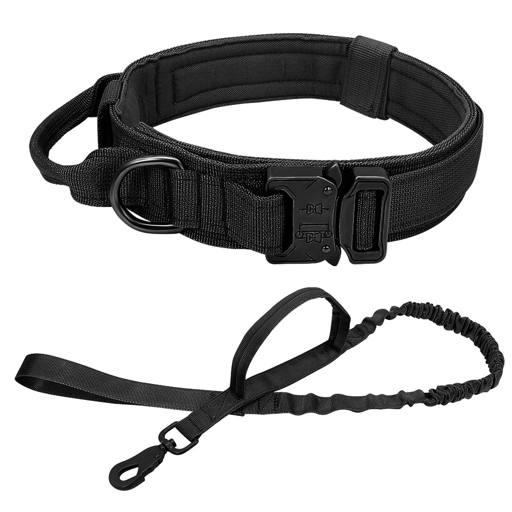 Dog Harness