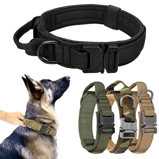 Dog Collar