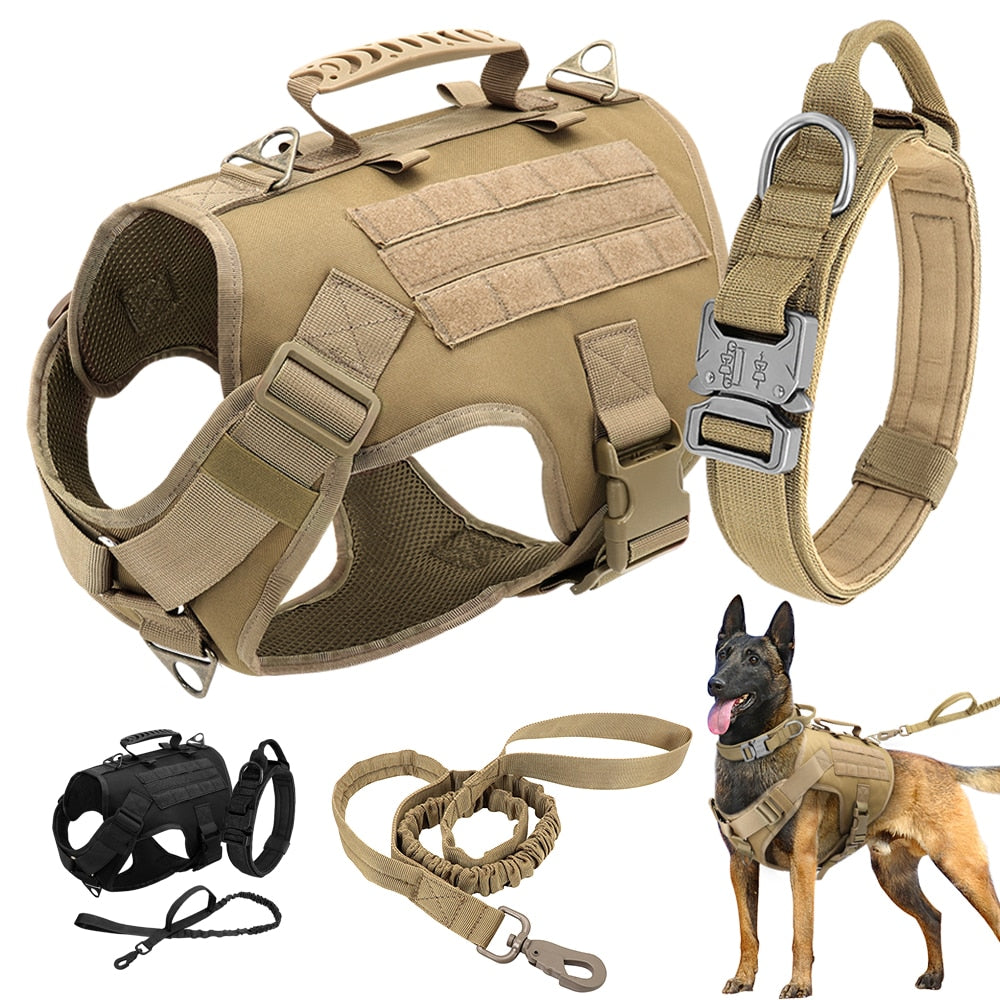 Dog Harness